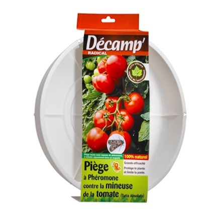 Piège à eau pour phéromones contre la mineuse de la tomate
