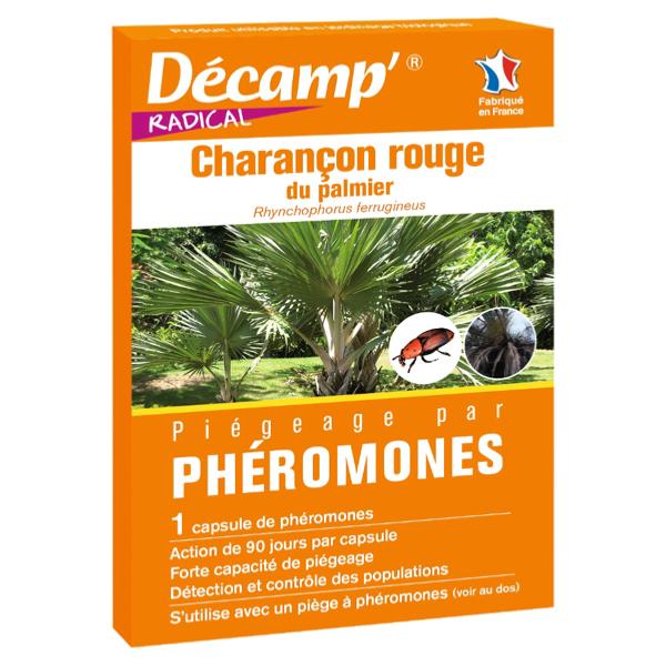 Phéromones contre le Charançon du Palmier