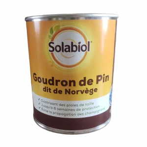 goudron de pin en boite