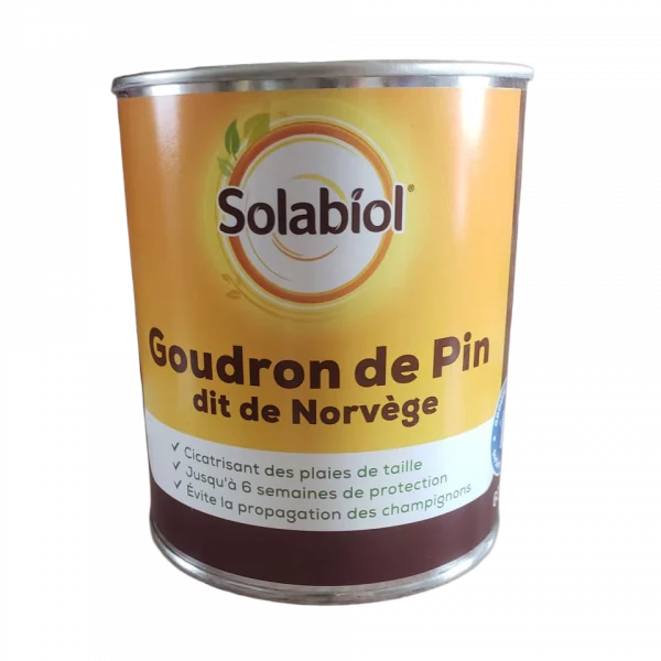 goudron de pin en boite
