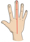 mesure-main-longeur