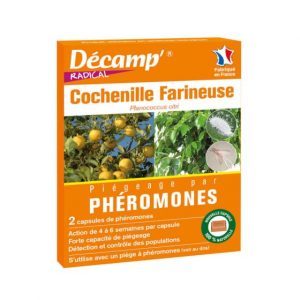 Recharche phéromones cochenilles