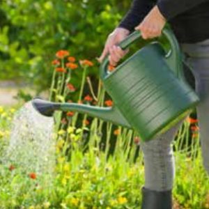 arrosoir vert en plastique avec pomme d'arrosage