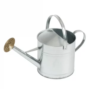 arrosoir acier galvanisé avec pomme d'arrosage rond