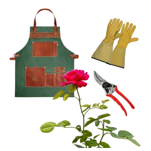 idée cadeau jardinier pack rose passion avec tablier, gant et sécateur