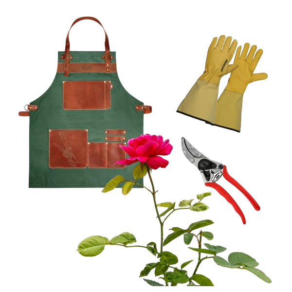 idée cadeau jardinier pack rose passion avec tablier, gant et sécateur